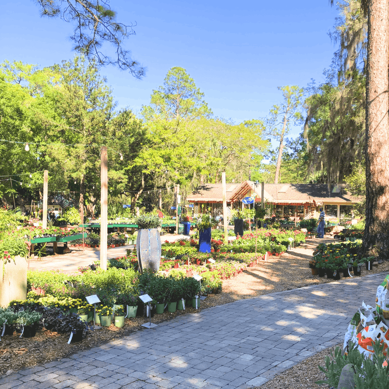 Native Nurseries