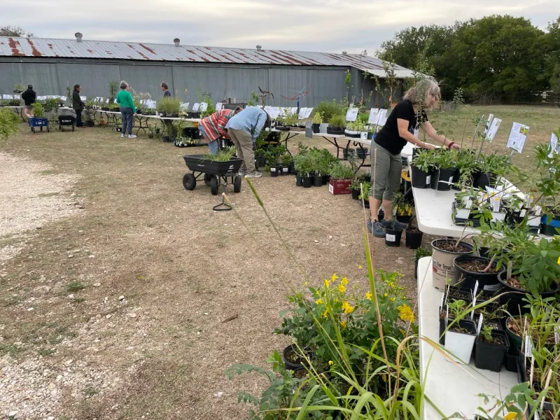 Native Plant Society of Texas Chapter Sales
