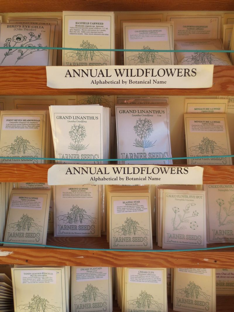 Native Seed Suppliers