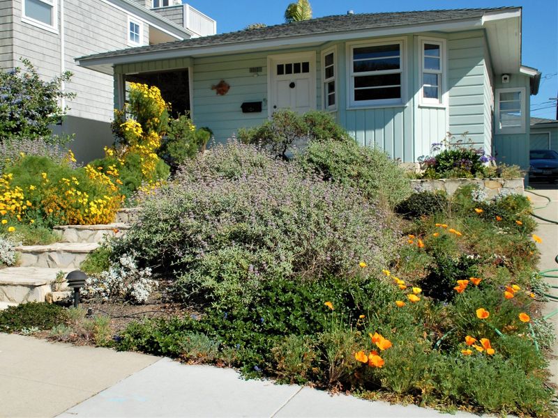 Native plants can add food and shelter Native plants can add food and shelter