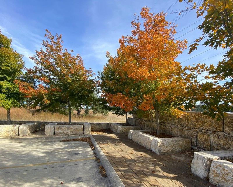 Natives of Texas in Kerrville