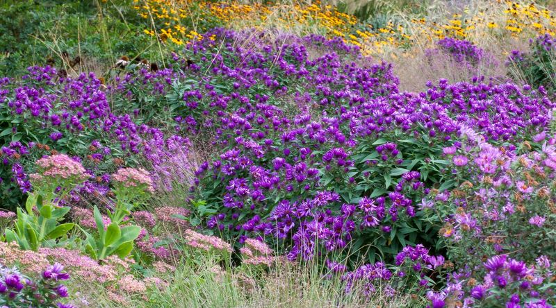 Nature's Haven Garden Center, Dallas-Fort Worth Area