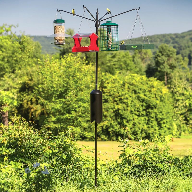 Nearby natural cover can offer feeder birds a refuge Nearby natural cover can offer feeder birds a refuge