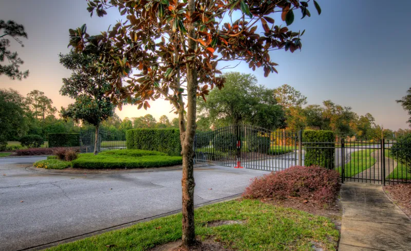 Neighborhood Rules Narrow the Options