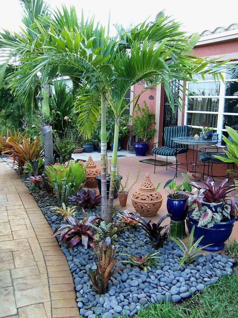 Neoregelia Bromeliads Neoregelia Bromeliads