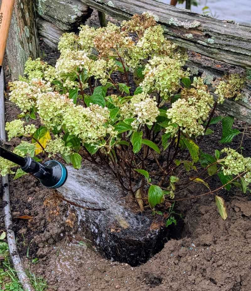 New plantings need a closer check