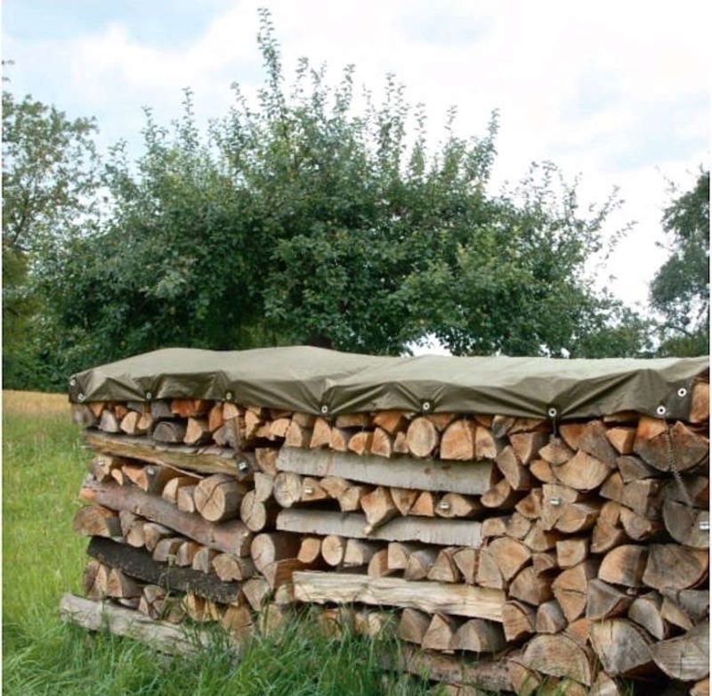 Observe lizards safely and store firewood responsibly Observe lizards safely and store firewood responsibly