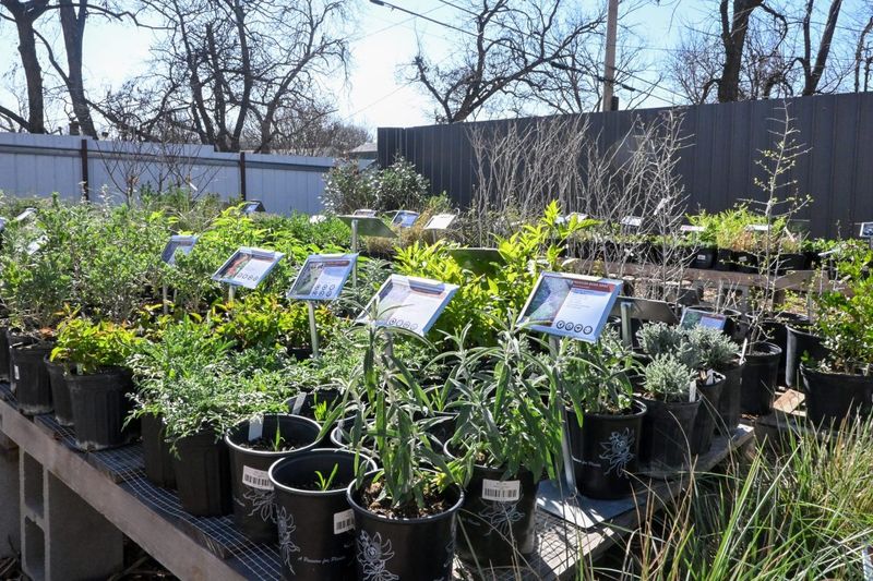 October can be a planting window, depending on local conditions