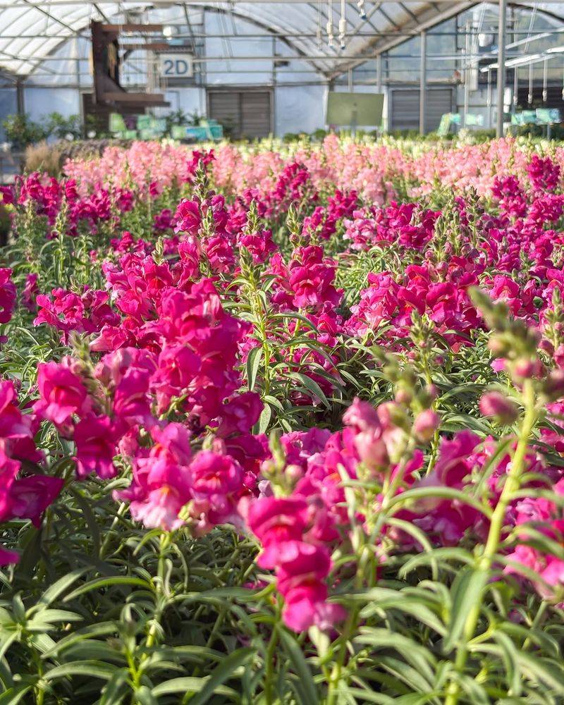October can still be a planting window in Texas and Florida