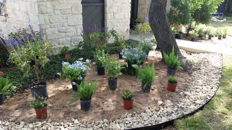 October is a locally recommended planting time