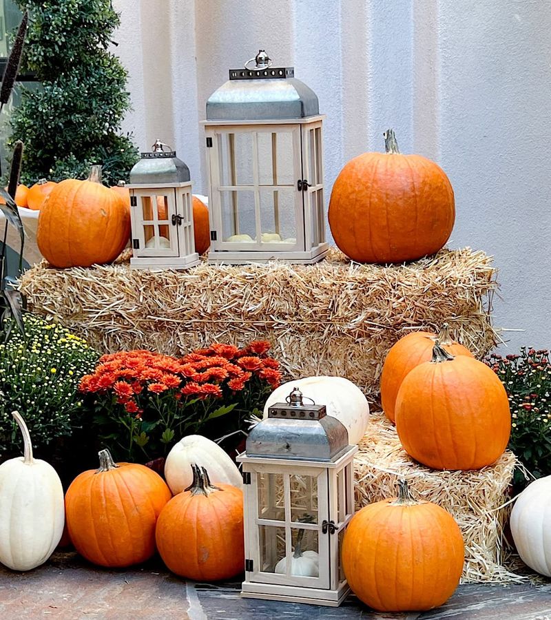 Old Plant Containers and Decorations