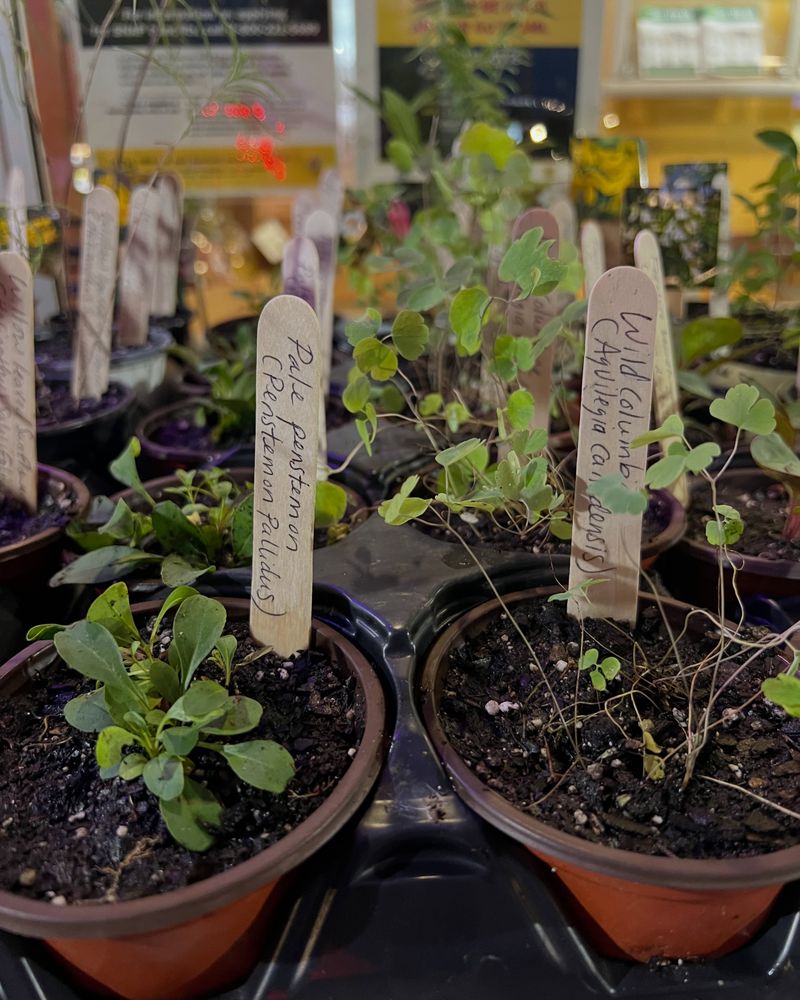 Online Swaps and Local Gardening Groups