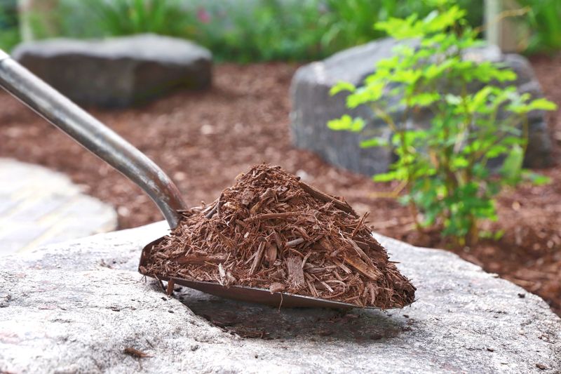 Only suitable organic mulch belongs in the compost pile