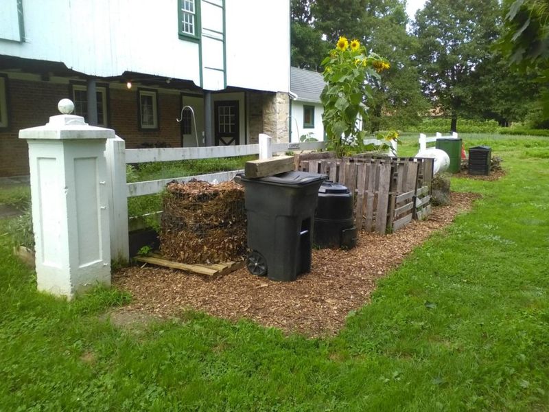 Open Compost Piles With Kitchen Scraps Open Compost Piles With Kitchen Scraps