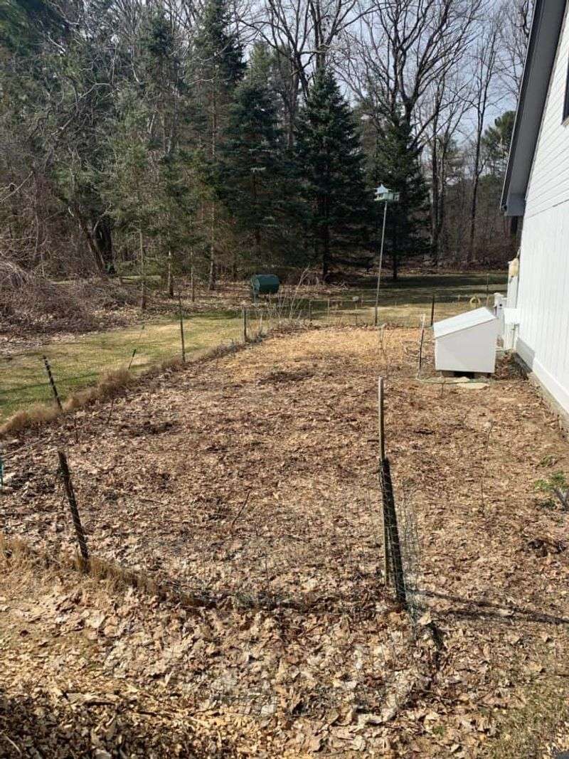 Overgrown Weedy Borders