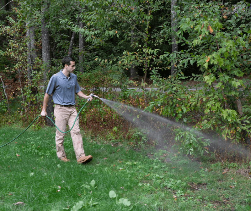 Overwatering Shady Beds Into a Humid Hideout