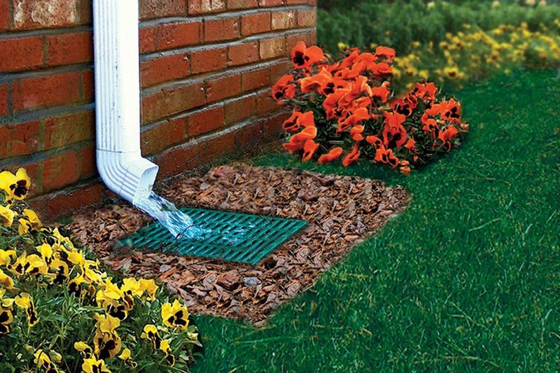 Pair planting changes with moisture and entry-point management