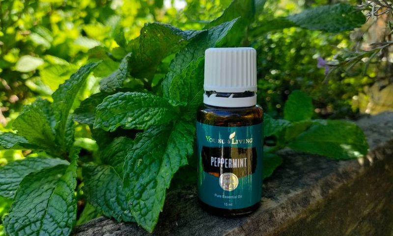 Peppermint Oil