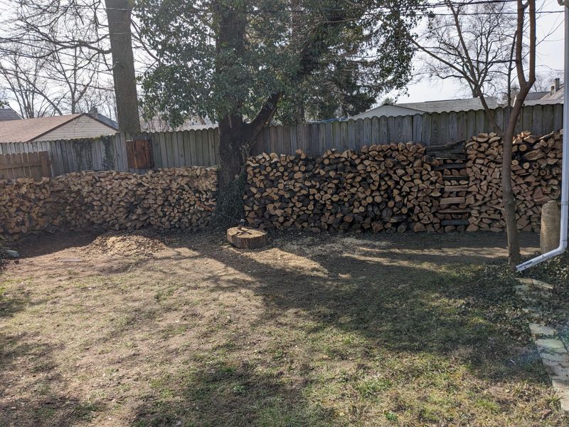 Piling Brush and Wood Near the Lawn Piling Brush and Wood Near the Lawn