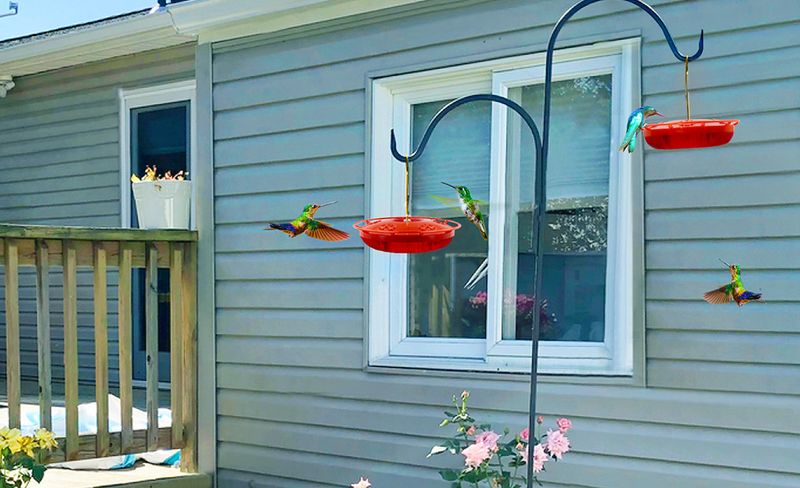 Place feeder stations in separate parts of the yard
