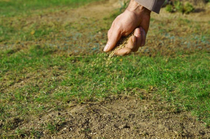 Place seed in contact with soil