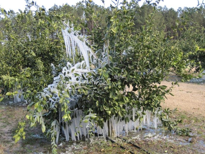 Plan for routine care and occasional cold protection