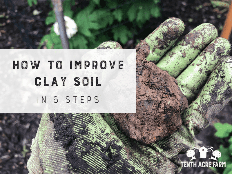 Prep Soil That Fights Texas Clay and Sand