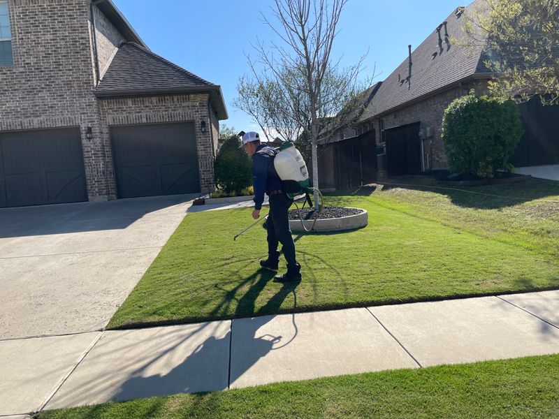 Prepare the grass before choosing a treatment Prepare the grass before choosing a treatment