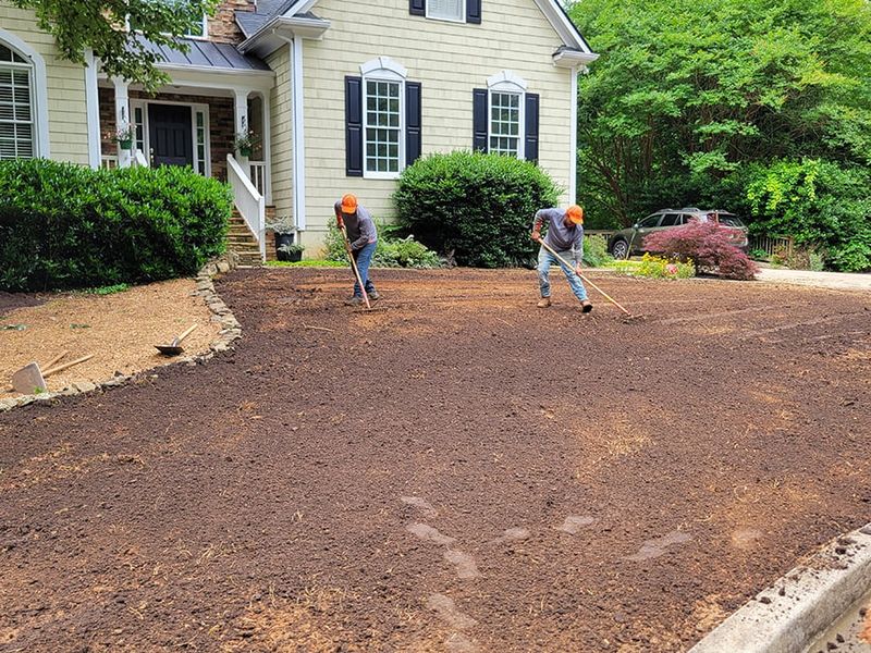 Prepare the sandy seedbed