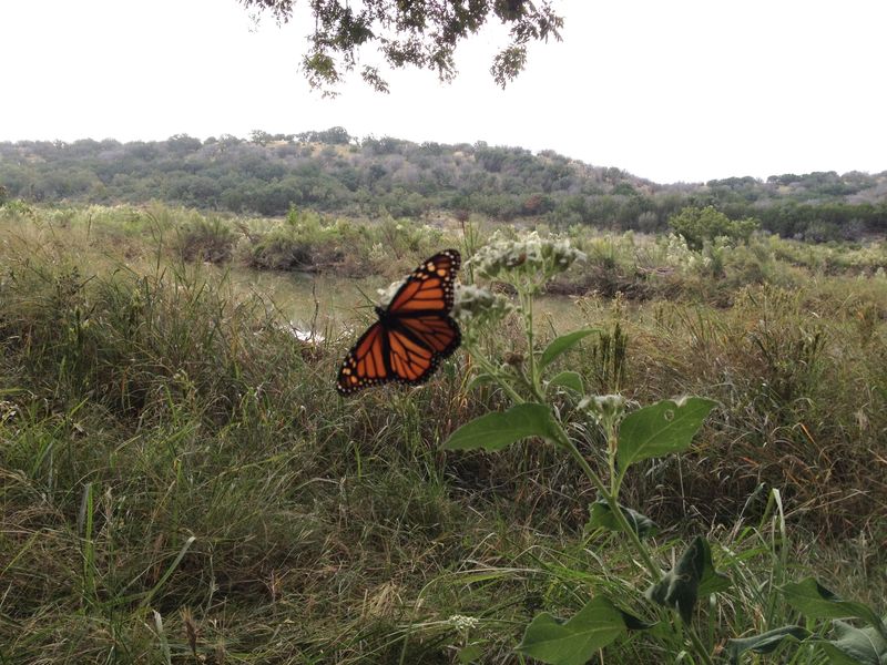 Preserve a possible food source, not a promised visit