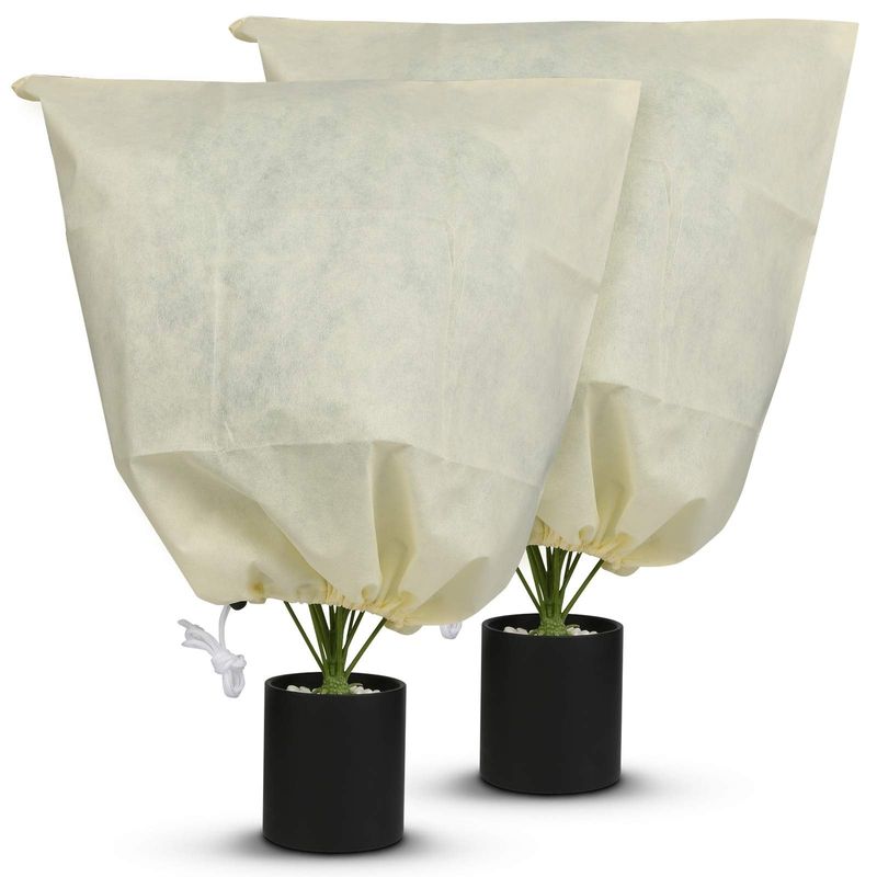 Protect Buds Before a Hard Freeze