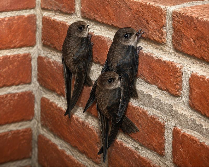 Protect a chimney that may be in use