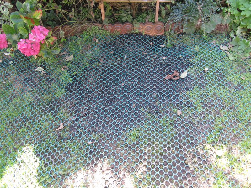 Protect a repeatedly damaged patch with targeted exclusion Protect a repeatedly damaged patch with targeted exclusion