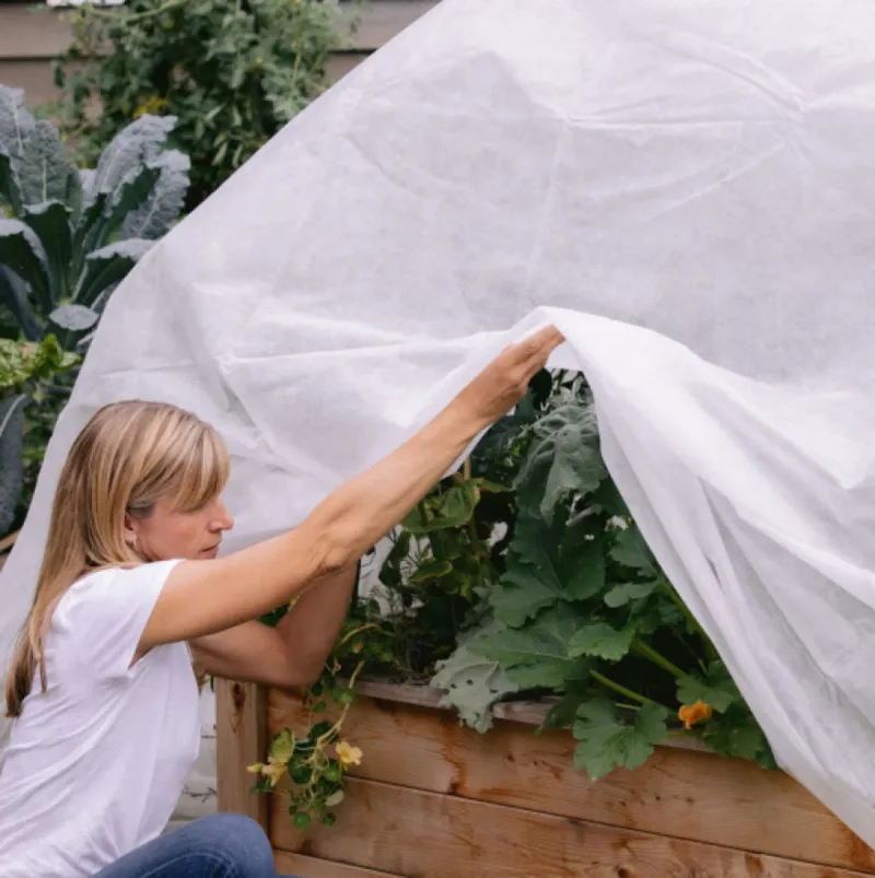 Protect and Harvest Through Frost