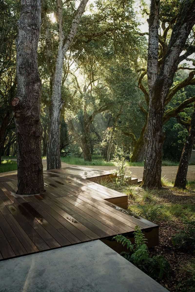 Protect established trees when changing the hardscape Protect established trees when changing the hardscape