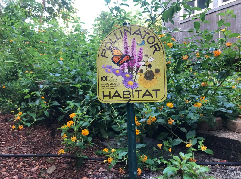 Protect nectar beds with pesticide-aware care Protect nectar beds with pesticide-aware care