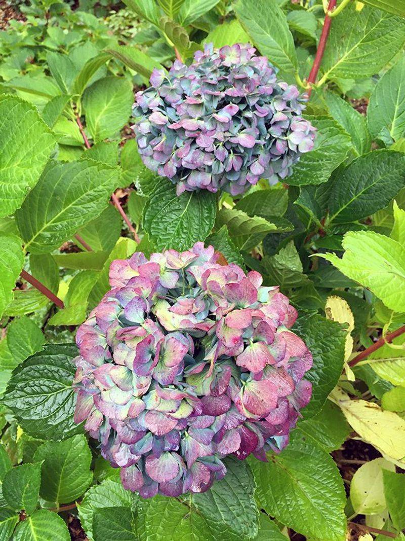 Protect the next bloom cycle Protect the next bloom cycle