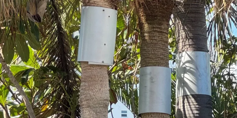 Protect vulnerable plants and specific areas