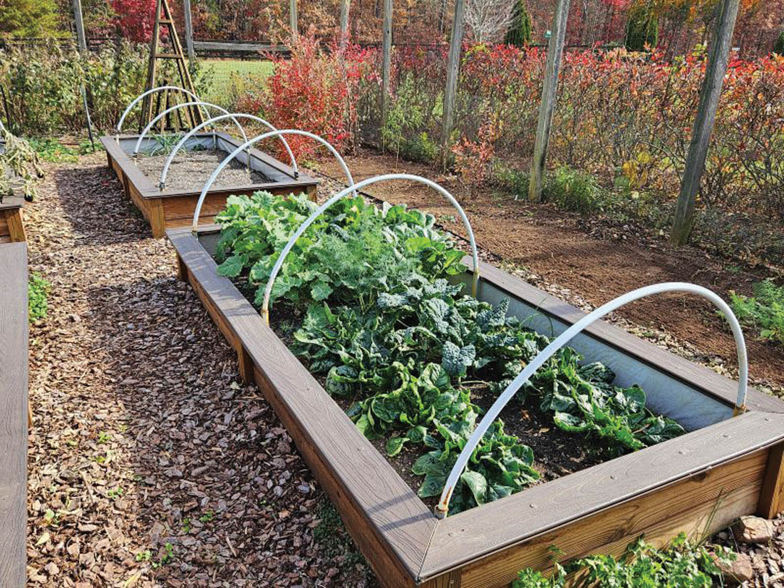Protect wildlife while managing the beds