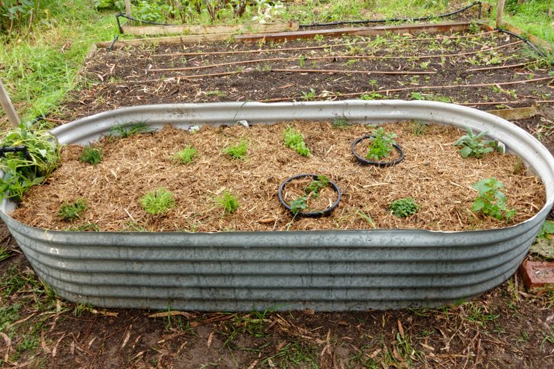 Protecting Your Vegetable Beds