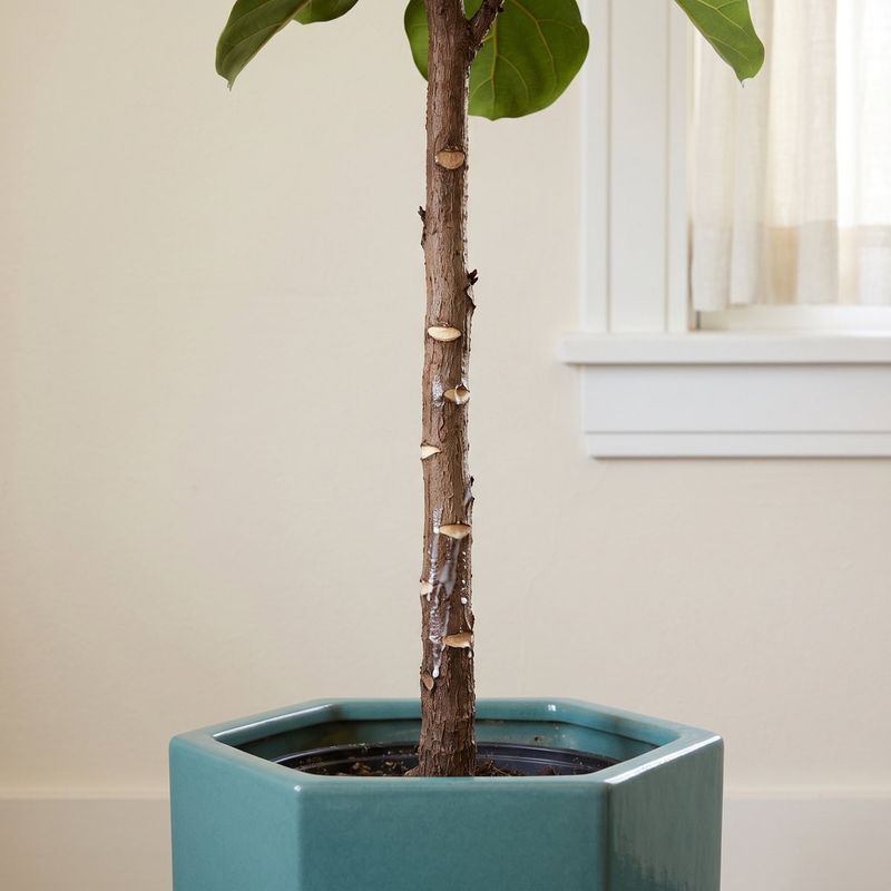 Prune only when the tree needs it Prune only when the tree needs it