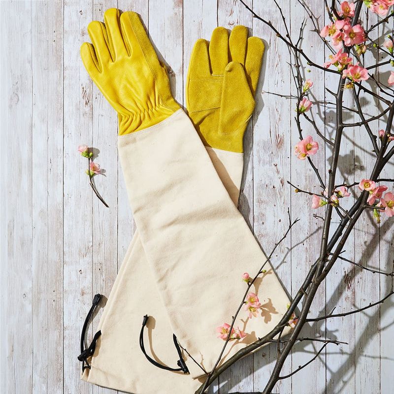 Prune safely and remember the simple rule