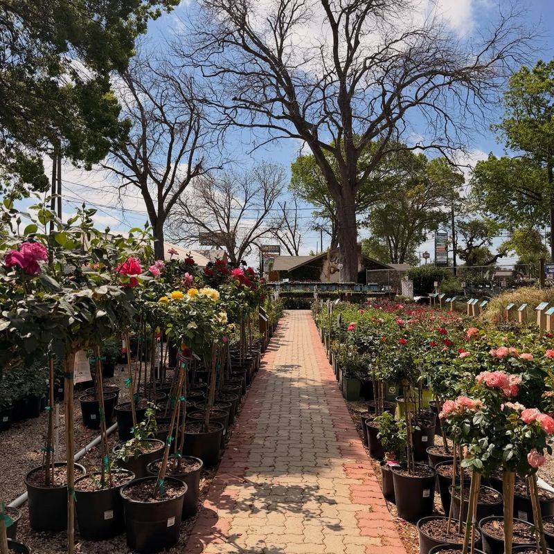 Rainbow Gardens, San Antonio Rainbow Gardens, San Antonio