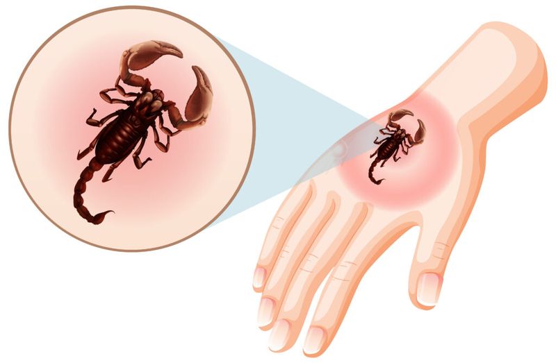 Recognize local symptoms and symptoms beyond the limb