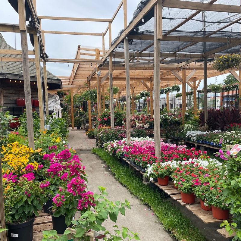 Redenta's Garden, Arlington