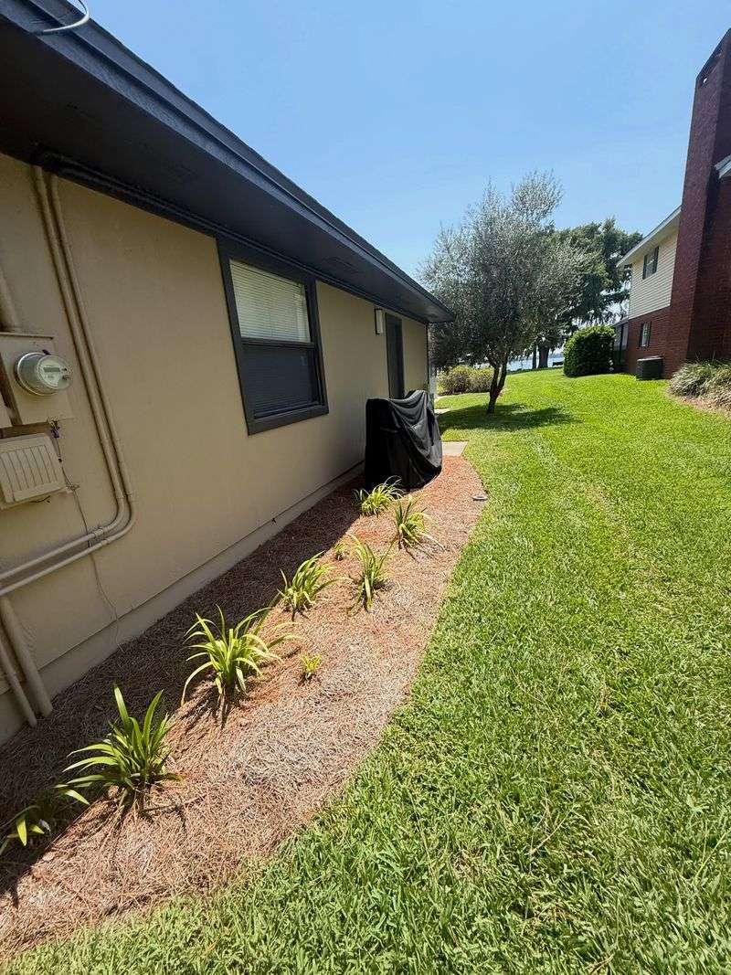 Reduce Harborage Beside the Foundation