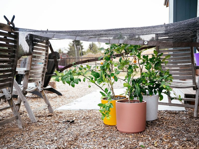 Reduce outdoor light gradually when conditions allow