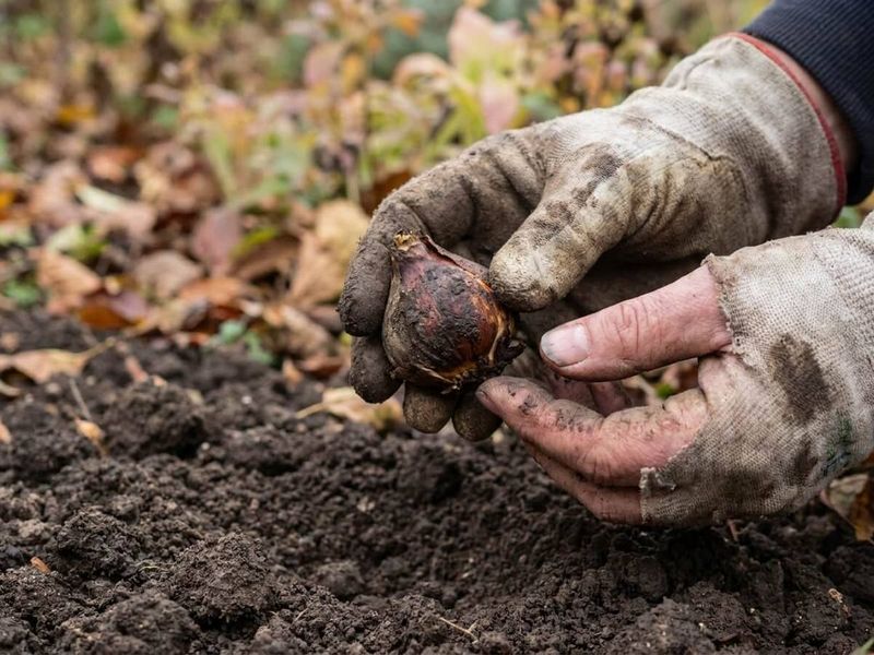 Reduce rot risk with good drainage