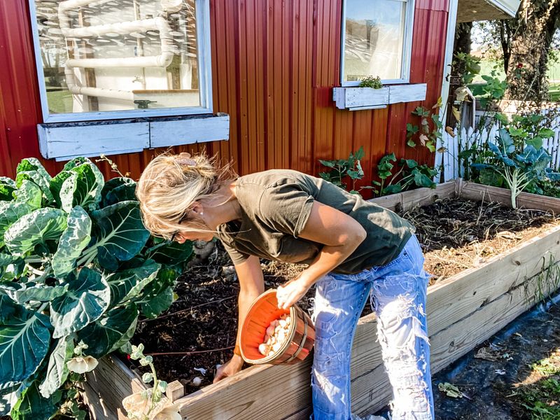 Reduce the risks before the next planting Reduce the risks before the next planting