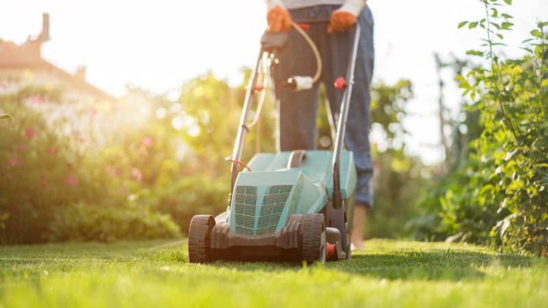Reduce vegetation and litter that favor ticks Reduce vegetation and litter that favor ticks